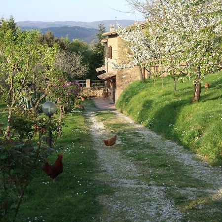 בית הארחה אורביאטו 	Podere La Vigna Locazione Turistica מראה חיצוני תמונה