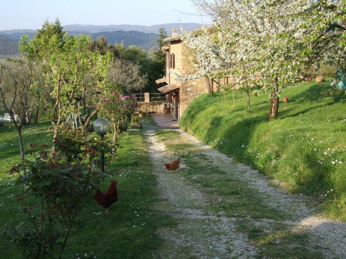 בית הארחה אורביאטו 	Podere La Vigna Locazione Turistica מראה חיצוני תמונה